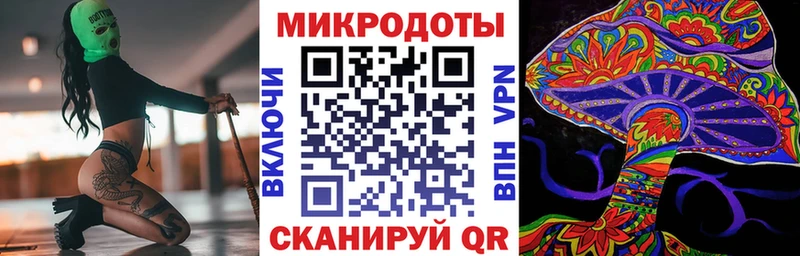 Купить  Полтавская  Галлюциногенные грибы Psilocybe 